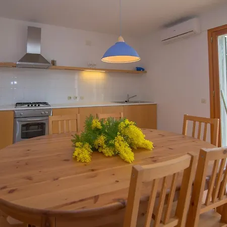 Apartment In 36588